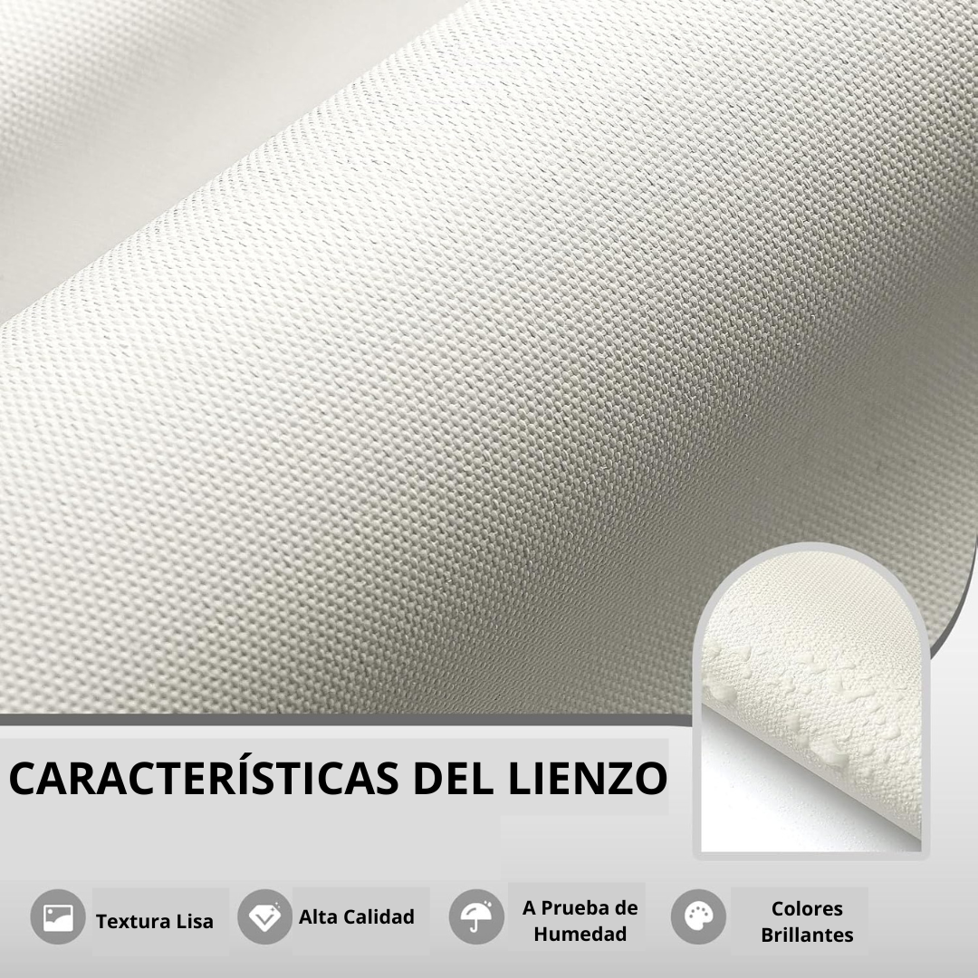 Lienzo Decorativo de Piloto de Carreras